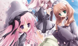 魔法学院动漫,奇幻冒险与青春成长的奇幻旅程